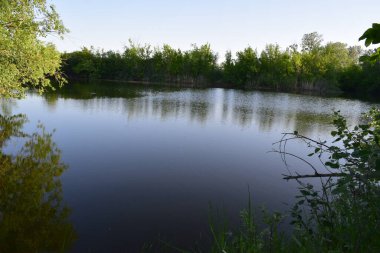 Yerli toprakların güzelliği. Mayıs sonunda, Derkul Nehri 'nde..