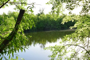 Yerli toprakların güzelliği. Mayıs sonunda, Derkul Nehri 'nde..