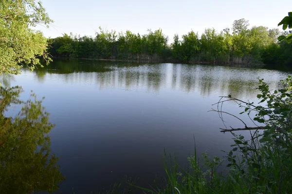 Bellezza Della Terra Nata Fine Maggio Sul Fiume Derkul — Foto Stock