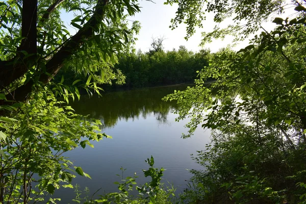 Bellezza Della Terra Nata Fine Maggio Sul Fiume Derkul — Foto Stock