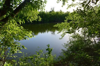 Yerli toprakların güzelliği. Mayıs sonunda, Derkul Nehri 'nde..