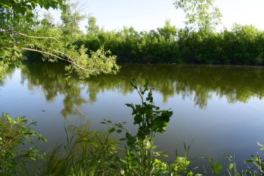 Yerli toprakların güzelliği. Mayıs sonunda, Derkul Nehri 'nde..
