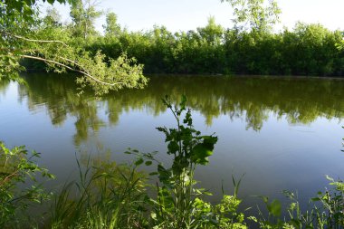 Yerli toprakların güzelliği. Mayıs sonunda, Derkul Nehri 'nde..