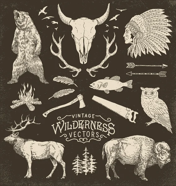 Vintage wildernis Vector Illustratie Set Rechtenvrije Stockvectors