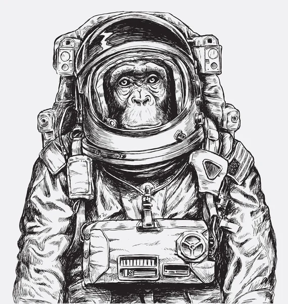 手描き下ろし猿宇宙飛行士ベクトル ロイヤリティフリーストックベクター