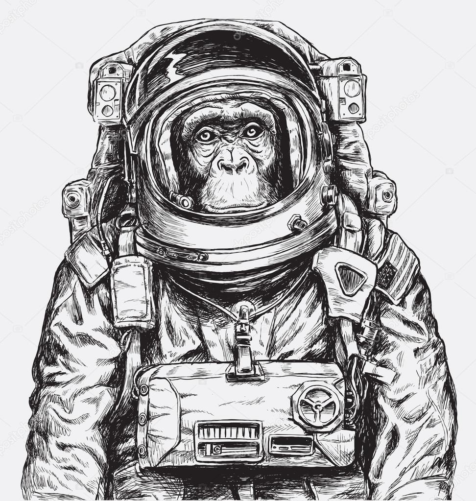 mono astronauta ilustración 21942202 Vector en Vecteezy