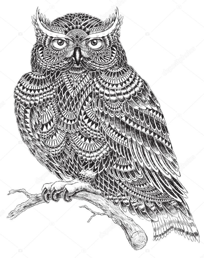 Hand Drawn Abstract Pattern Owl Illustration