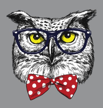 Gözlük ve papyon ile hipster baykuş. Gözlük ve kravat ayrılır.