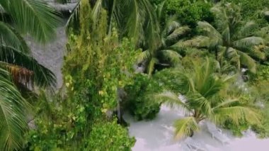 Tropik bir plajın kuş bakışı görüntüsü. Gün batımında mavi kumsalın en üst manzarası. Gün batımında beyaz kumlu güzel bir sahil. Tropikal bir sahilin kuş bakışı görüntüsü, deniz dalgaları güzel bir kıyı şeridinde düzgünce yuvarlanıyor..