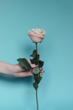 Mavi arka planda pembe bir kadın eli. Metnin için yer.