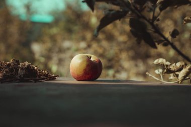 Düz bir yüzeyde elmanın yakın çekimi. Doğal bir arka planda güzel olgun bir elma.. 