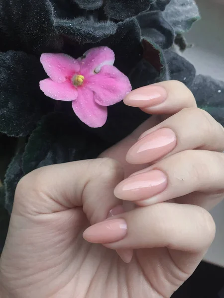 Manicure Nago Kobiecej Dłoni Tle Fiołków Fioletowy Różowy Kroplami — Zdjęcie stockowe