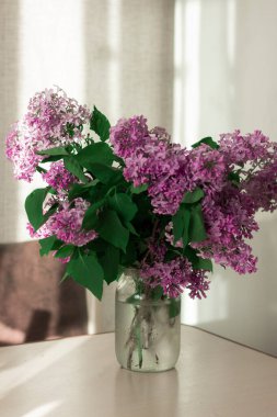 Cam kavanozda vazo yerine leylak demeti var. Ev atmosferi