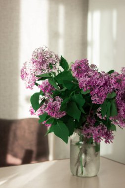 Cam kavanozda vazo yerine leylak demeti var. Ev atmosferi