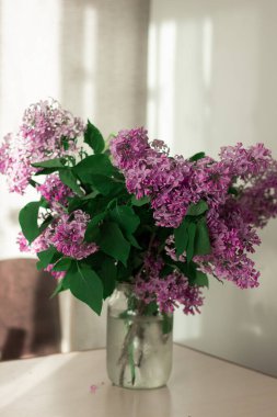 Cam kavanozda vazo yerine leylak demeti var. Ev atmosferi