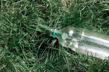 Plastik şişe çimlerin üzerinde yatar ve otlar gündüz saatlerinde doğal bir ortamda görünür.