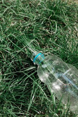 Plastik şişe çimlerin üzerinde yatar ve otlar gündüz saatlerinde doğal bir ortamda görünür.