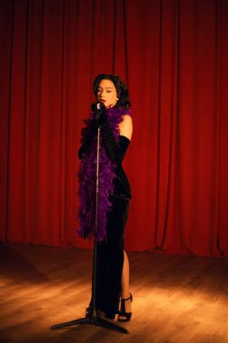 Akşam şovu sırasında kırmızı perdenin önünde mikrofonla sahnede zarif bir sanatçı.