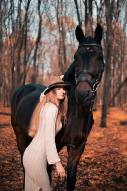 Genç bir kadın ağaçlarla kaplı manzaralı bir sonbahar yolunda büyük bir atla etkileşime giriyor.