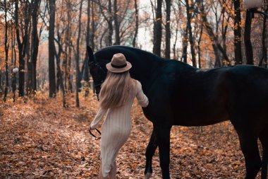 Kadınlar sonbaharda ormanda siyah bir atla yürür.