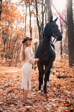 Genç bir kadın, sonbahar yaprakları ormanında, gün batımında, sakin bir açık havada, siyah bir atla yürüyor.