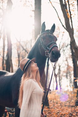 Genç bir kadın, sonbahar yaprakları ormanında, gün batımında, sakin bir açık havada, siyah bir atla yürüyor.