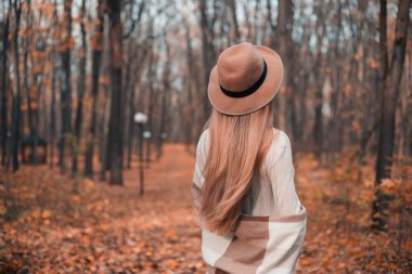 Renkli yapraklar ve arka planda sıcak güneş ışığı olan sakin bir sonbahar ormanında yürüyorum.