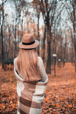 Renkli yapraklar ve arka planda sıcak güneş ışığı olan sakin bir sonbahar ormanında yürüyorum.