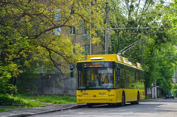 KYIV, UKRAINE - 16 Mayıs 2019. Trolleybus Bogdan T701 # 2362 Kyiv sokaklarında yolcularla birlikte.