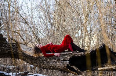 Güzel yatay portre. Şehvetli bir kadının görüntüsü. Yükselmiş ve rengarenk bir vücut. Kırmızı bir elbise içinde bir ağaçta yatıyor..