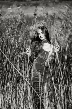 Güzel dikey portre. Şehvetli bir kadının görüntüsü, yüksek ve renkli, sazlıklar içinde bir elbise giymiş..