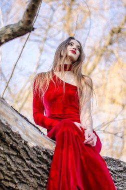 Güzel dikey portre. Şehvetli bir kadının görüntüsü, yüksek ve renkli, kırmızı elbiseli, devrilmiş bir ağaçta oturuyor..