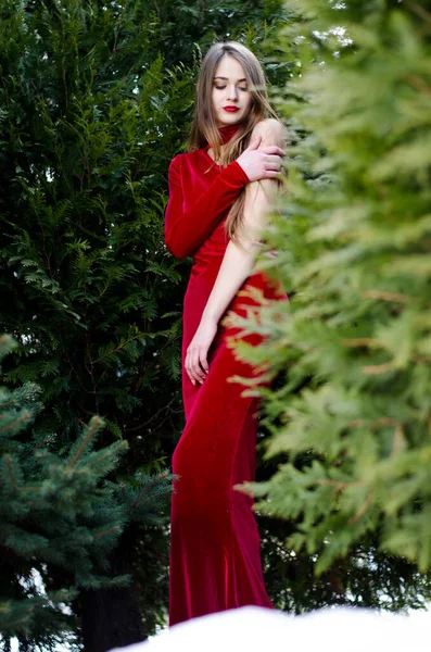 Güzel dikey portre. Şehvetli bir kadının görüntüsü. Yükselmiş ve rengarenk. Sokakta kırmızı bir elbise giymiş..