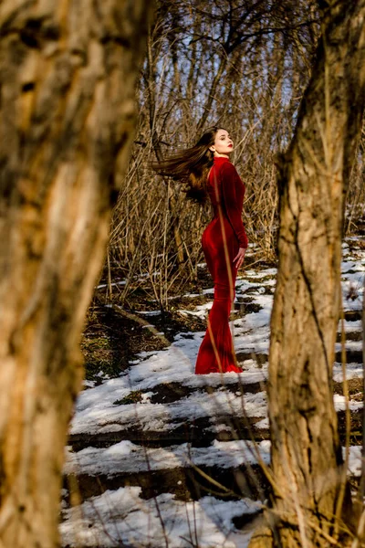 美縦肖像画 二本の木の間に赤いドレスを着た官能的な女性の像が立っている — ストック写真