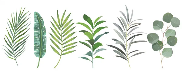 Akvarell handritade uppsättning tropiska blad. Vektorutformning — Stock vektor