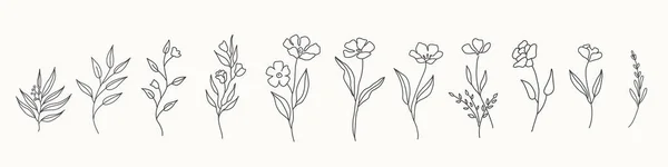 Conjunto de lindas flores dibujadas a mano, ramas, hojas. Disposiciones de línea vectorial para tarjetas de felicitación o diseño de invitación — Vector de stock