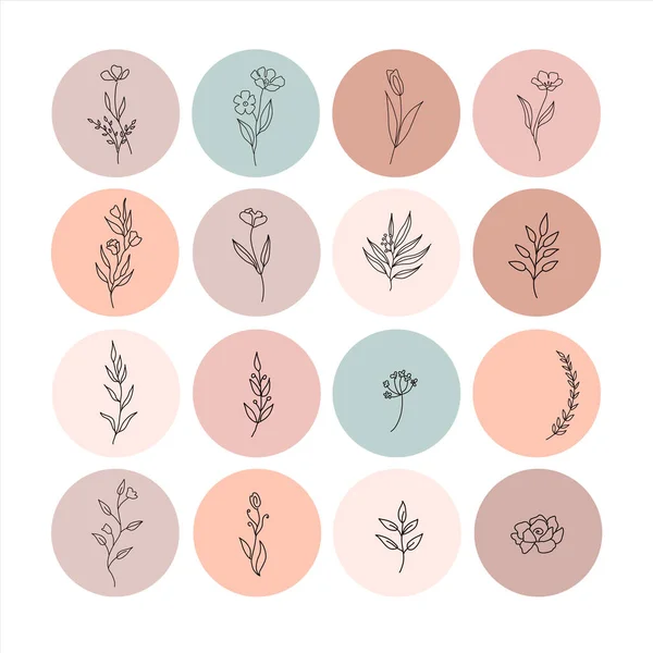 Hand drawn vector set flower icons templates in circles, - social media story highlights cover in trendy linear style — Stock Vector