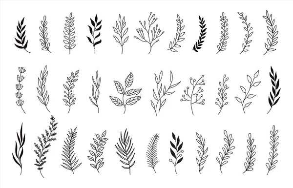 Conjunto de flores dibujadas a mano, ramas, hojas. ilustración vectorial. diseño para invitación, tarjetas de felicitación, redes sociales — Vector de stock