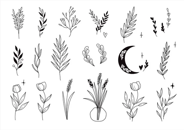 Set von niedlichen trendigen mystischen Stil handgezeichnete Blumen, Zweige, Blätter. Vector Line Arrangements für Stories Highlights, Grußkarten oder Einladungen sowie Logodesign — Stockvektor