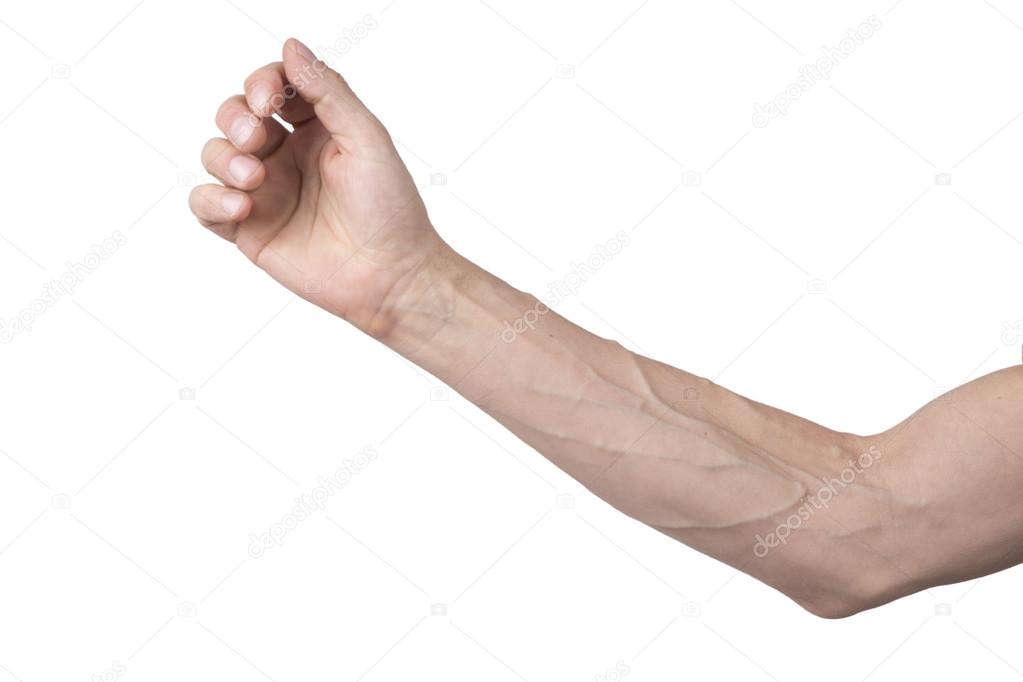Veins upon an arm Inventory Picture © Taborsky #102541182 photo relating to Arm & Hammer Printable Coupons referred to as Veins upon an arm Inventory Photograph © Taborsky #102541182