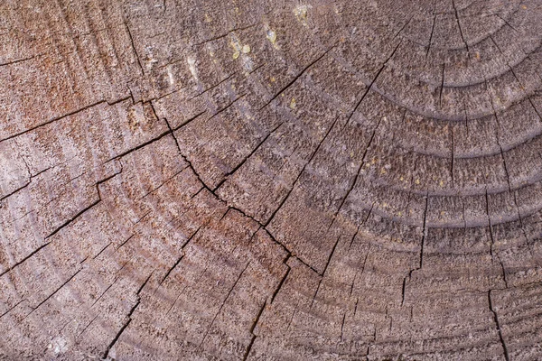Дерев'яні структури — стокове фото