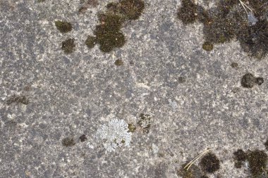 Bir arka plan olarak beton