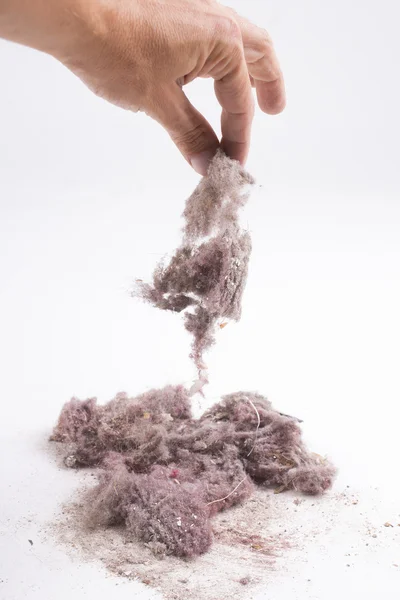 House dust — Stock Photo, Image