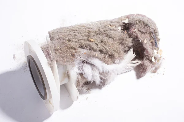 House dust — Stock Photo, Image