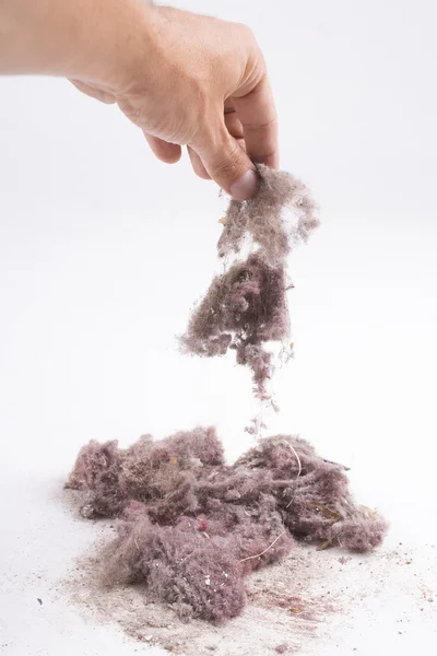 House dust — Stock Photo, Image