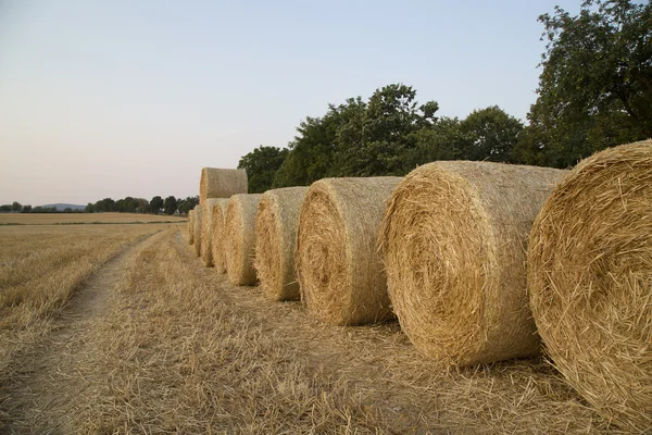 Strobalen — Stockfoto