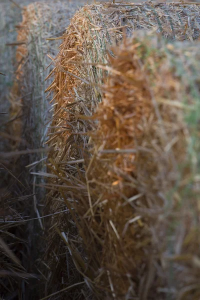 Strobalen — Stockfoto