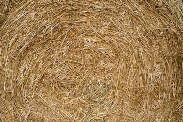 Straw bales — Stock Photo, Image