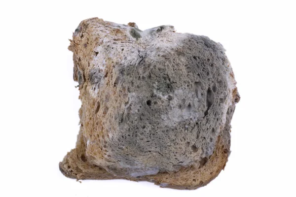 Beschimmelde brood — Stockfoto