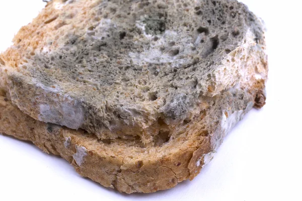 Mouldy bread — Stock Photo, Image